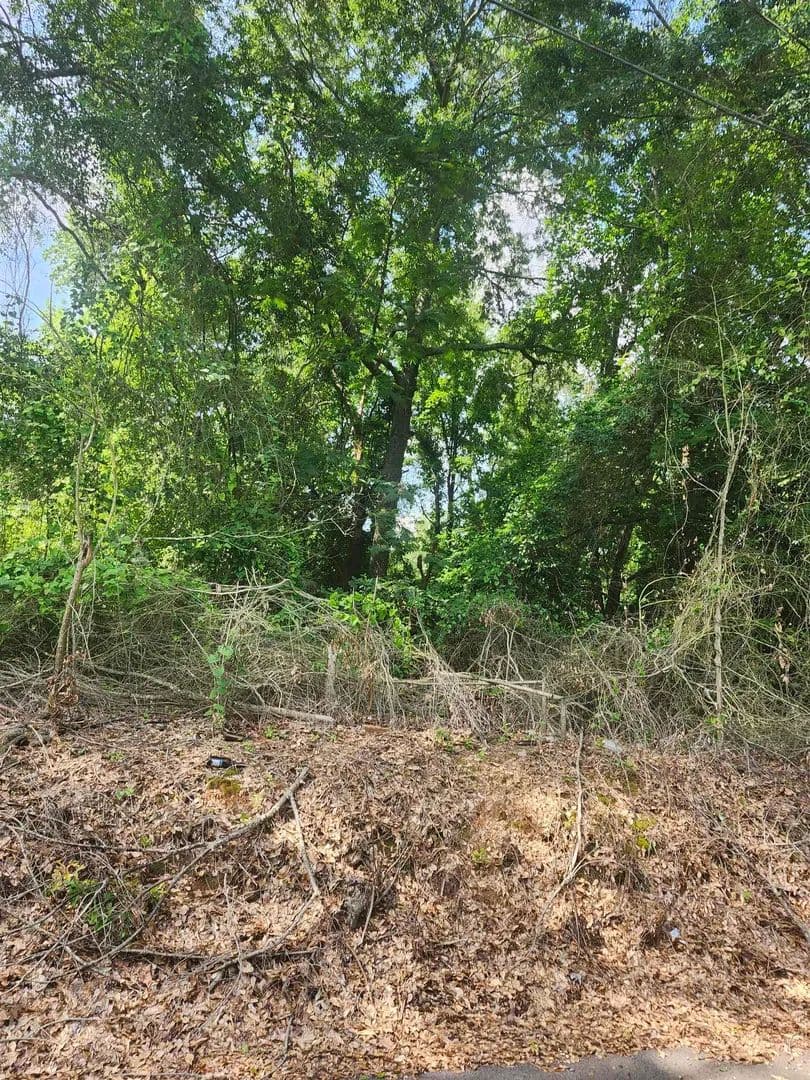 0.33 Acres of Land for Sale in Marshall, Texas - Marshall, Texas, 75670