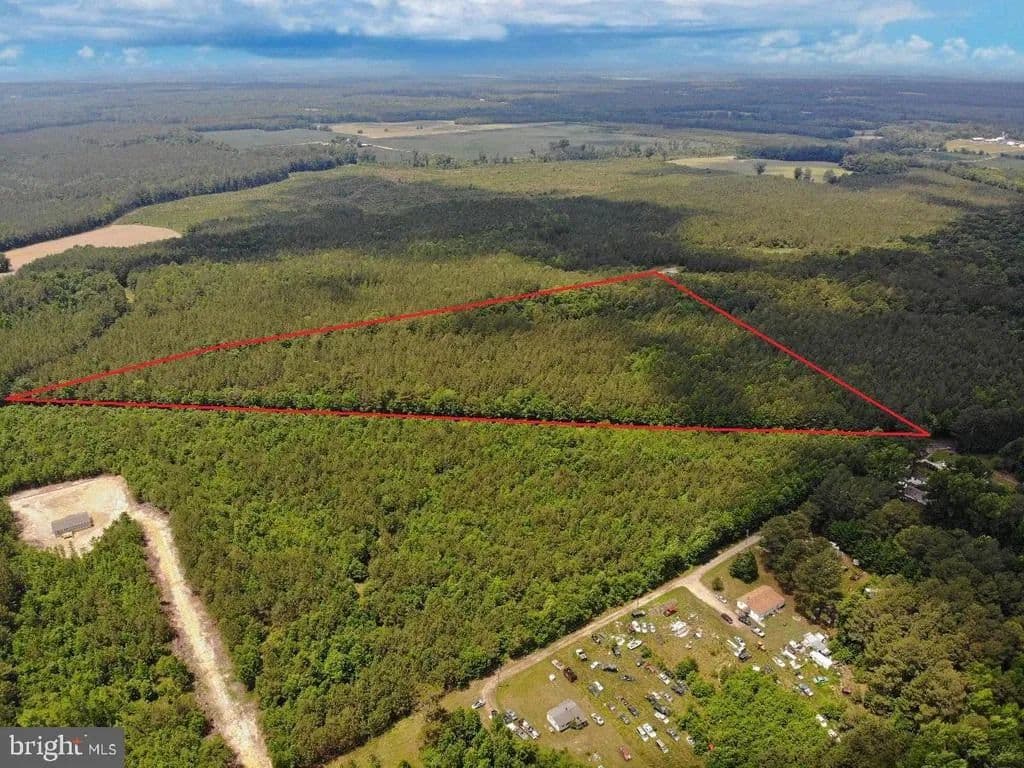 14.1 Acres of Land for Sale in SPRING GROVE, VA - Spring Grove, Virginia, 23881