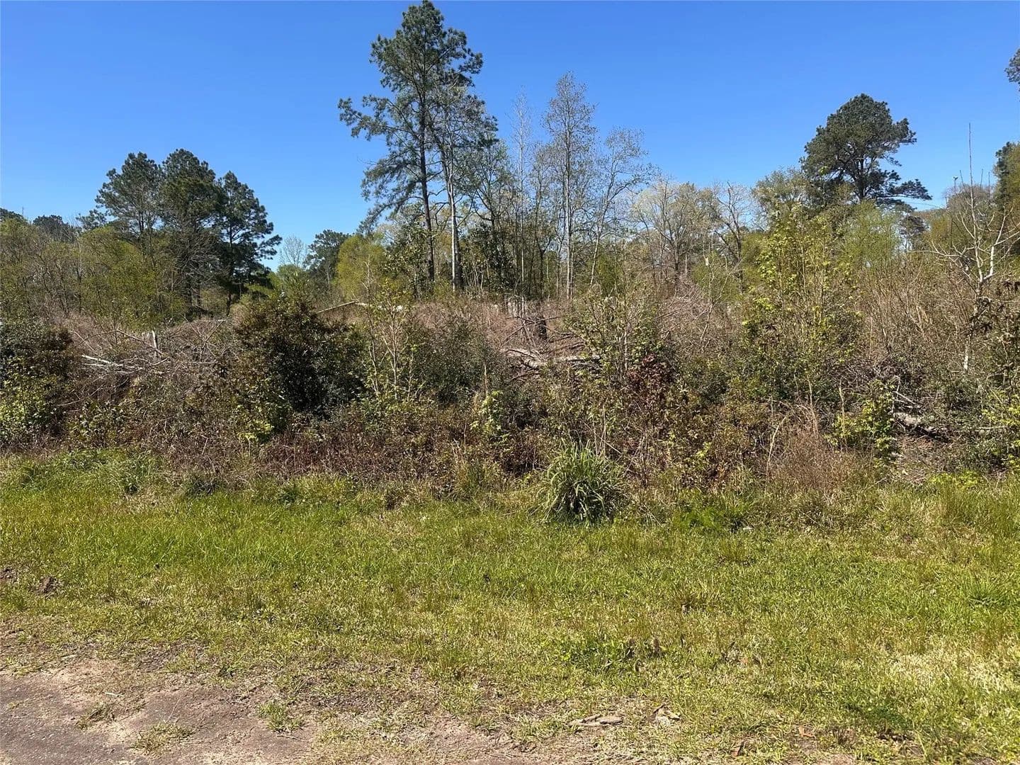 Lots & Land-Other in Shepherd - land for sale