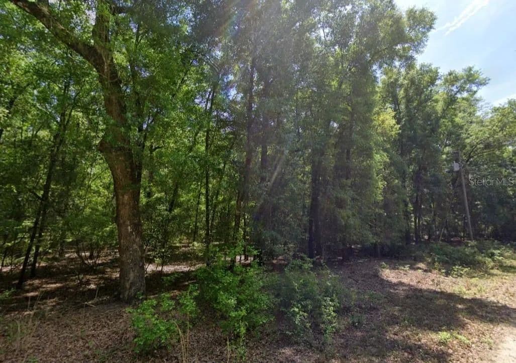Property from NE WILLOW BEND TERRACE - KW - Lee, Florida, 32059