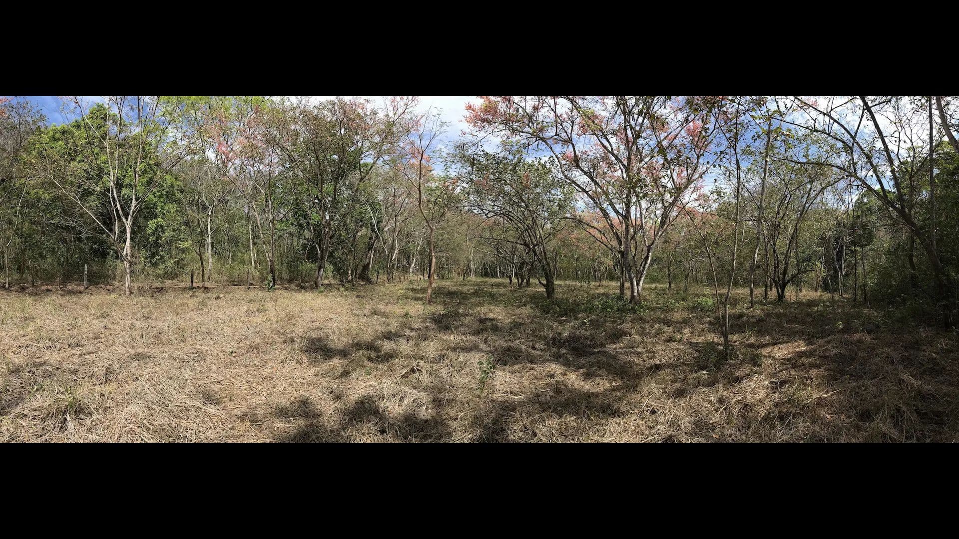 Vacant Land in Samara - land for sale