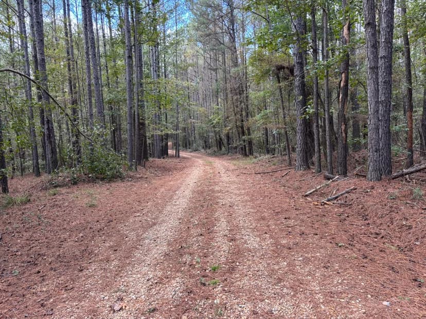 29.79 Acres in Rankin County, MS