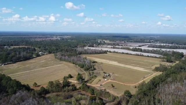18.11 Acres of Land for Sale in Chunchula, AL - Chunchula, Alabama, 36521