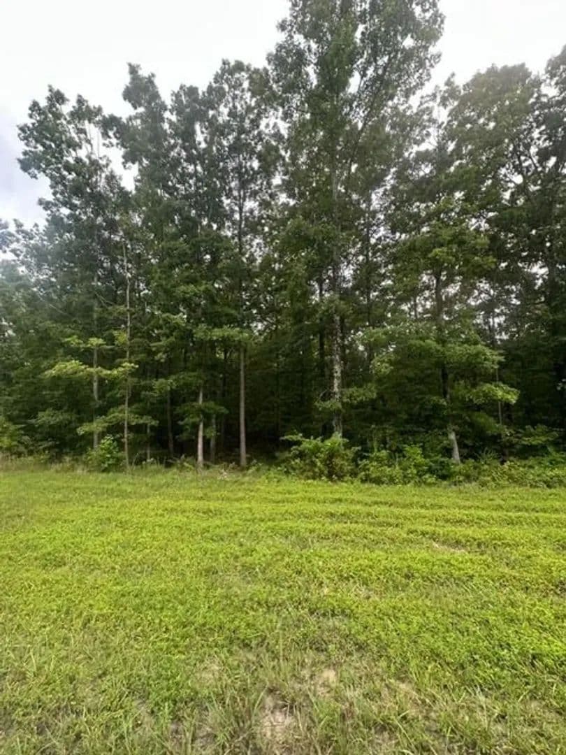 1.23+/-acres wooded lot located in the gated community of Sequatchie Point. - South Pittsburg, Tennessee, 37380