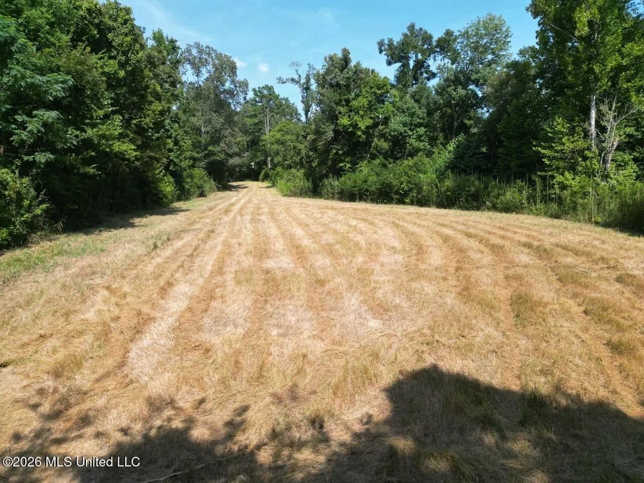375± Acres in Jefferson County, MS Near Natchez Trace - Fayette, Mississippi, 39069