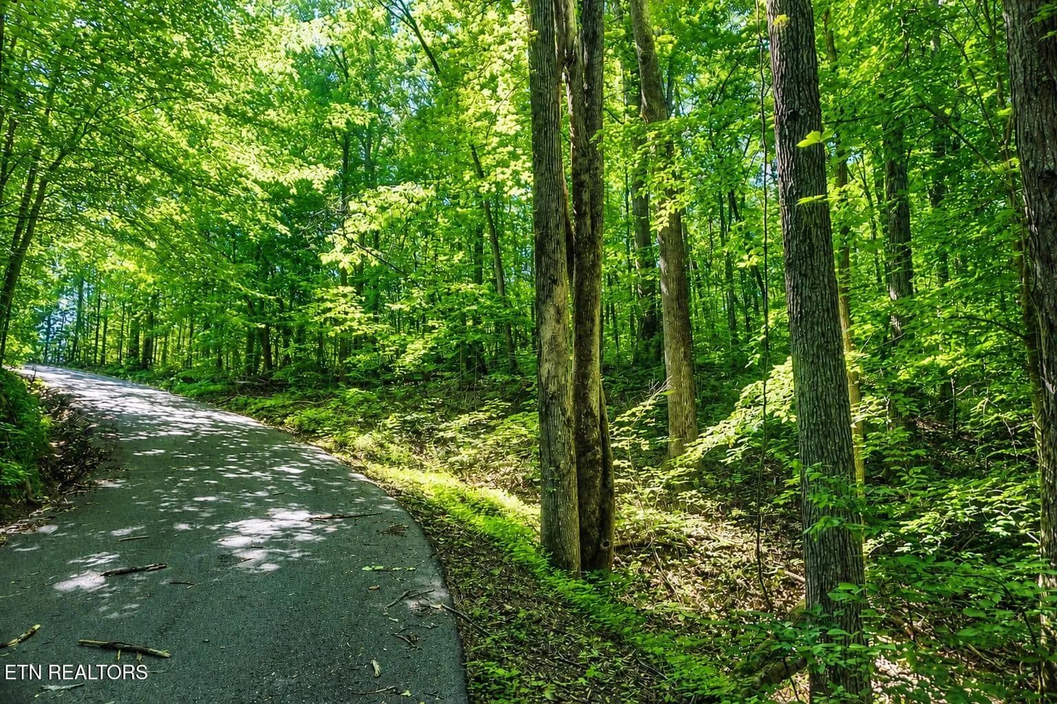 3.8 Acres of Land for Sale in Sevierville, TN - Sevierville, Tennessee, 37876