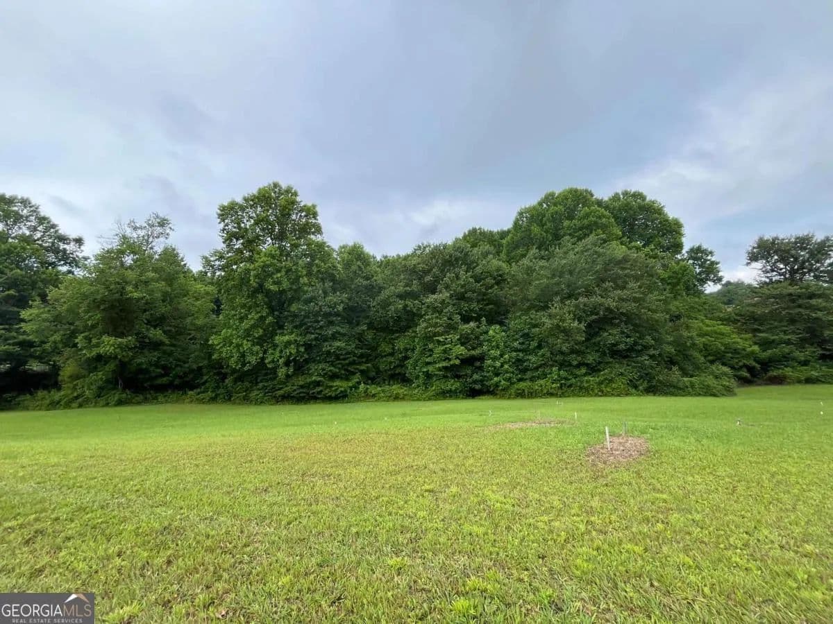 Property from LOT 117 Owen Glen Drive - KW - Blairsville, Georgia, 30512