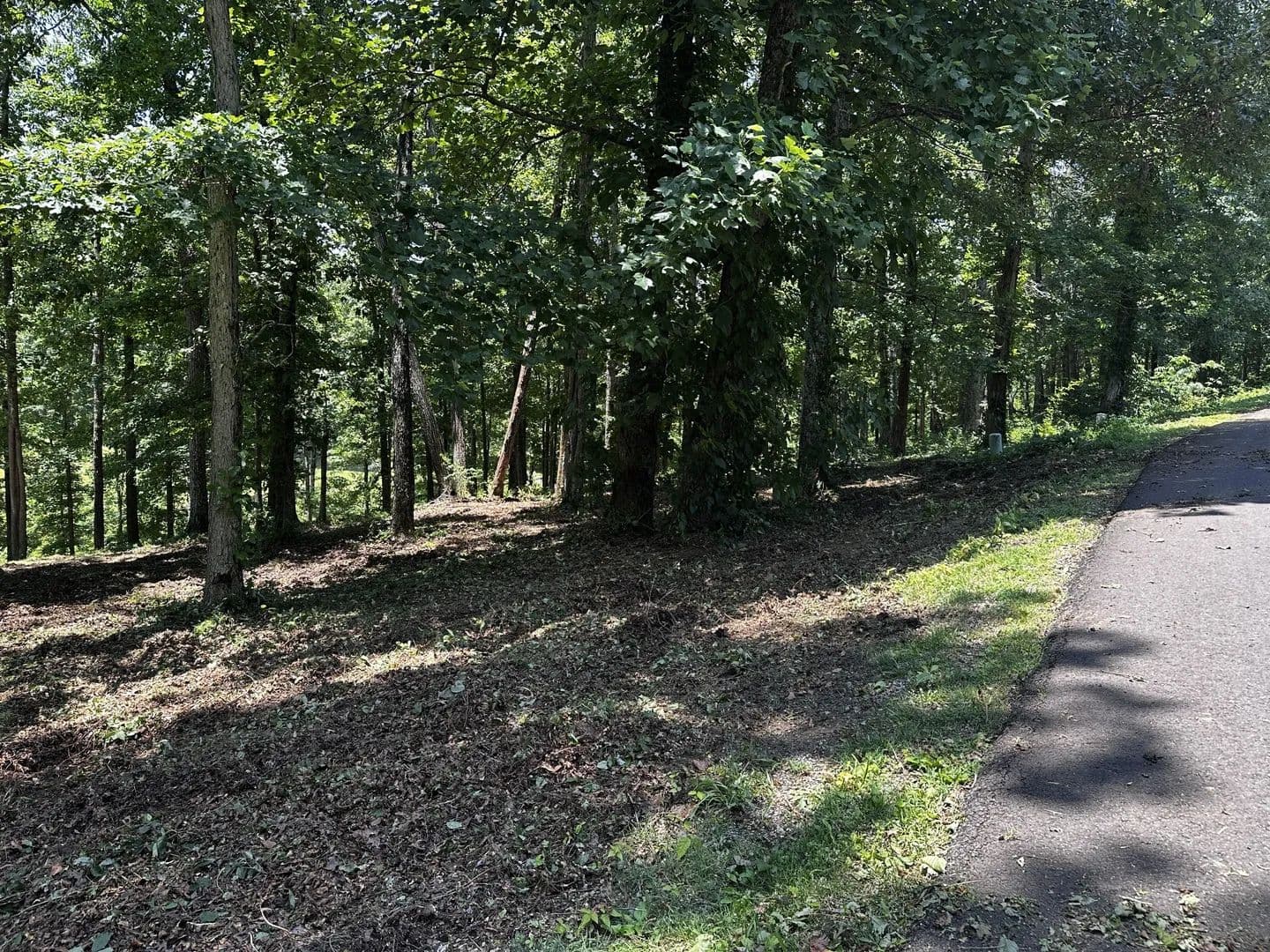 Vacant Land in Loretto - land for sale