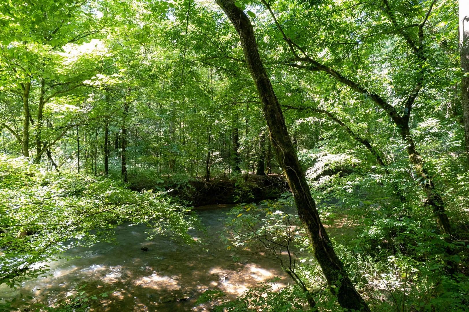 Blue Springs Creek 26+/- Acres - Blountsville, Alabama, 35031