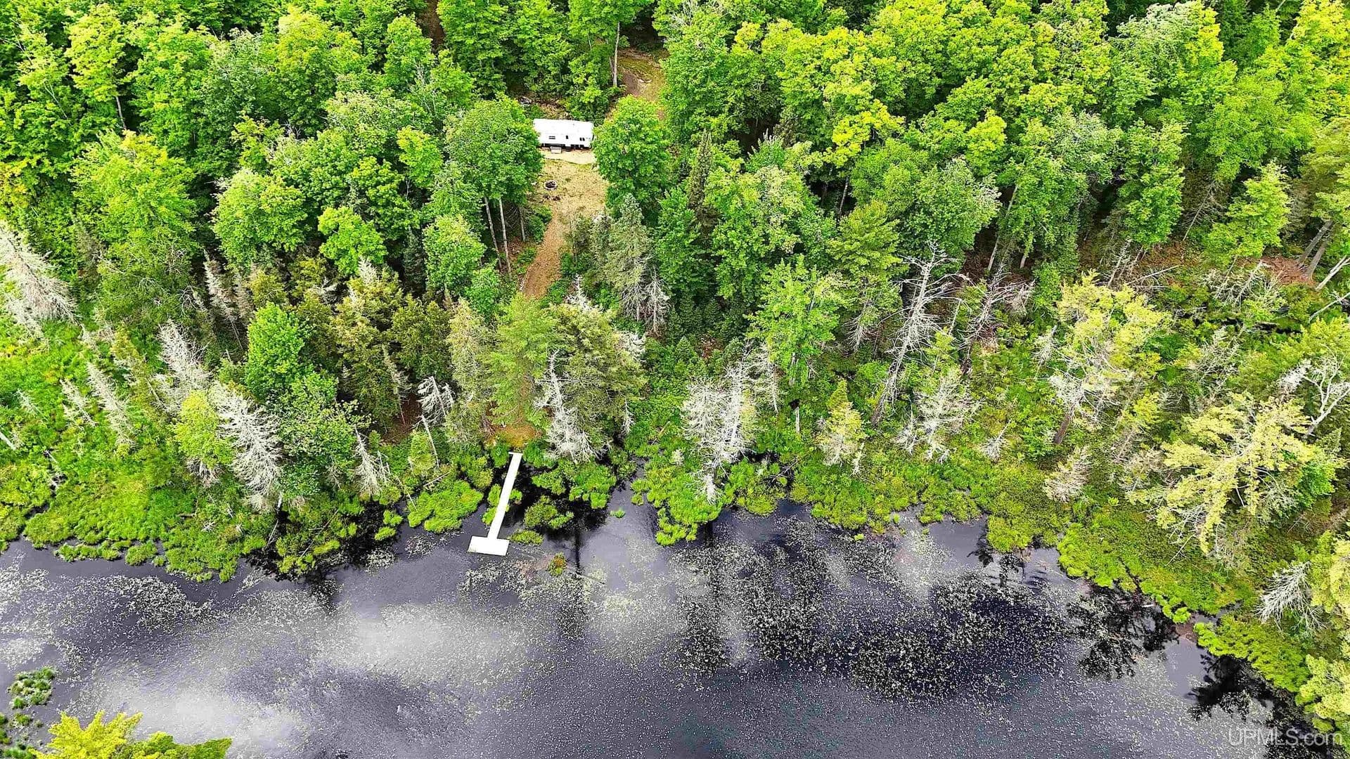 35.2 Acres of Land for Sale in Champion, Michigan - Champion, Michigan, 49814