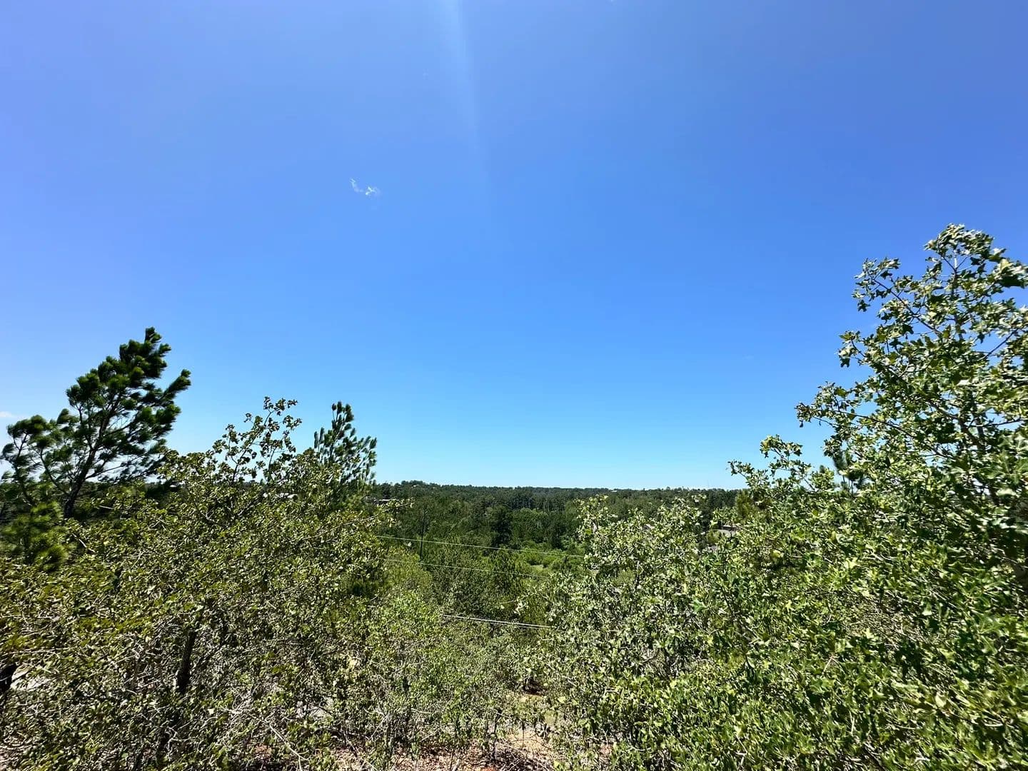 0.25 Acres of Land for Sale in Bastrop, Texas - Bastrop, Texas, 78602