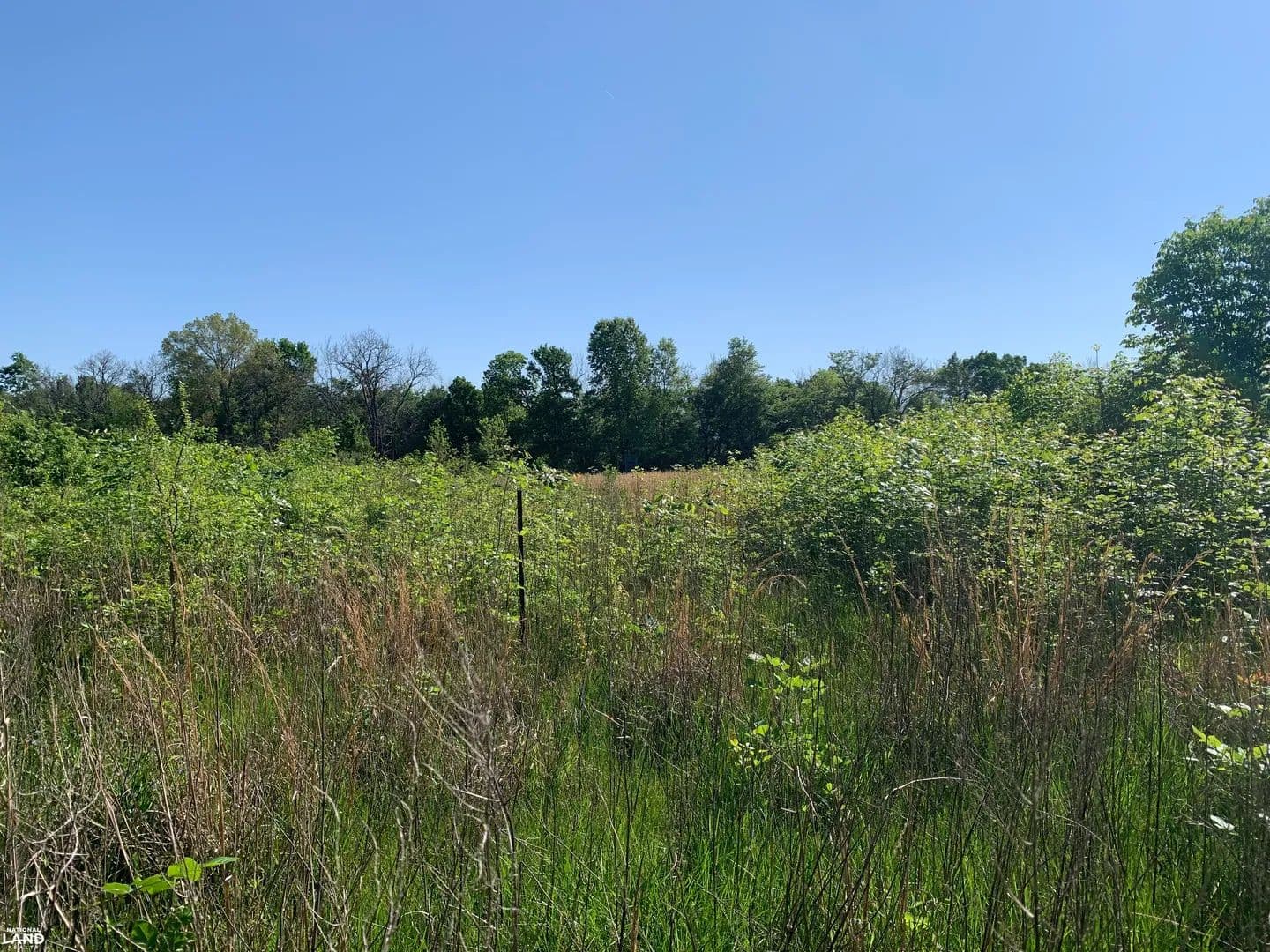 78 acres 5 miles from Meta AI Plant - Rayville, Louisiana, 71269