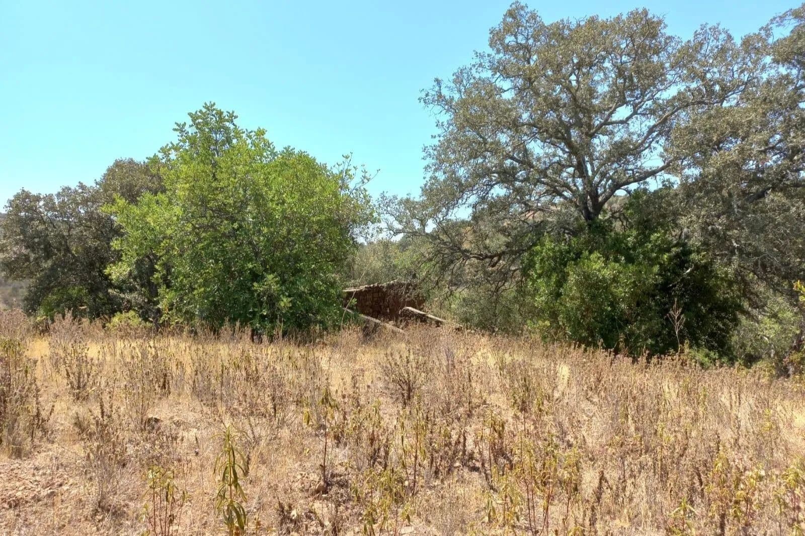 500 Acres of Land for Sale in Santa Catarina Fonte Bispo, Tavira - land for sale
