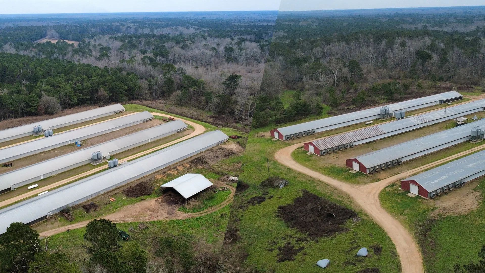 TNT Broiler Farm – Eight House Farm located in Amite County, MS - Summit, Mississippi, 39666