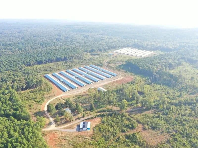 Saint Lukes Broiler Farm – 16 House Farm in Claiborne Parrish, Louisiana - Arcadia, Louisiana, 71001