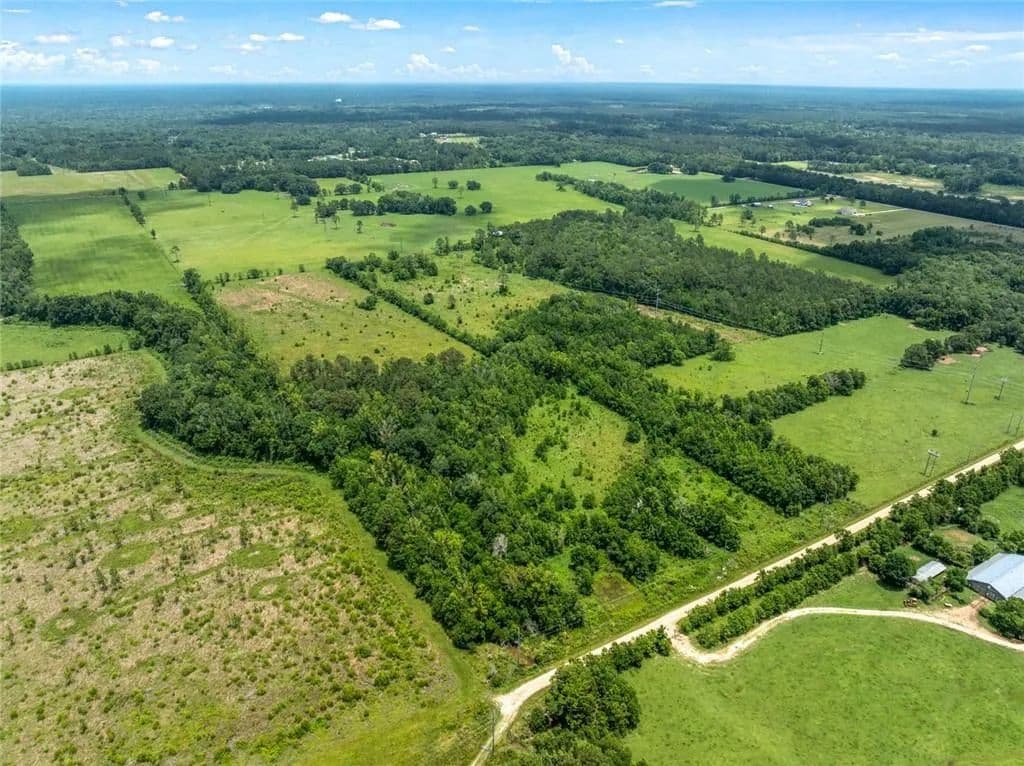 42.31 Acres of Land for Sale in Bush, Louisiana - Bush, Louisiana, 70431