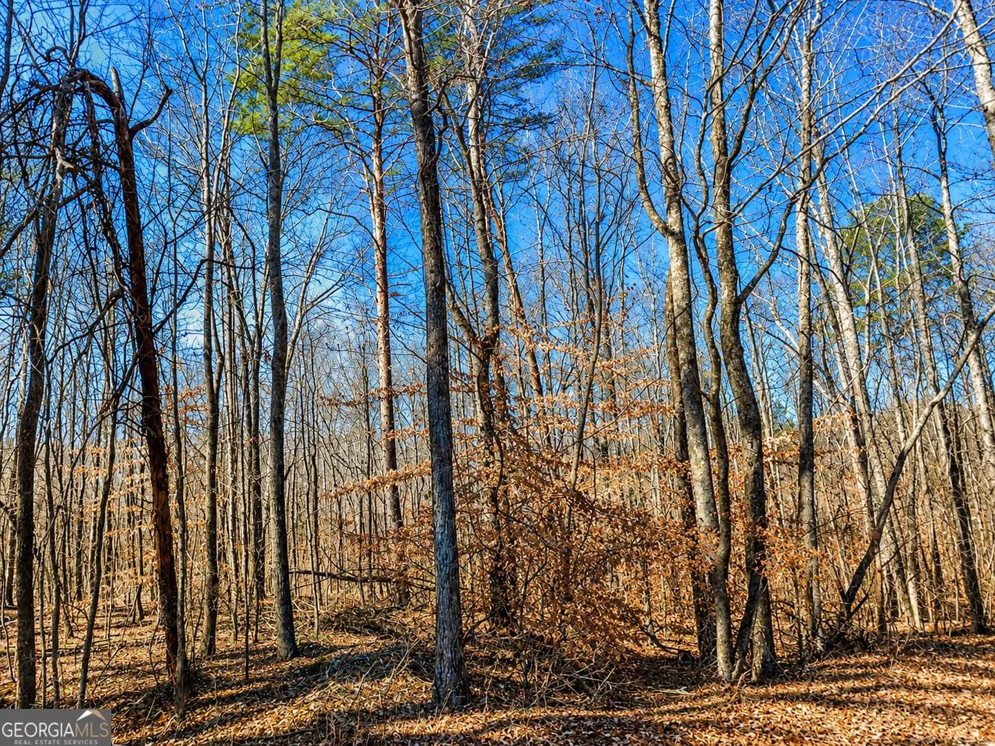 2 Acres of Land for Sale in Jasper, GA - Jasper, Georgia, 30143