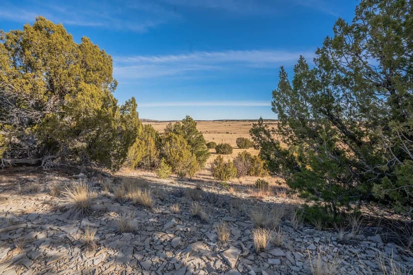 Parcel 24 Hatchet Ranch 24, Pueblo, CO 81019