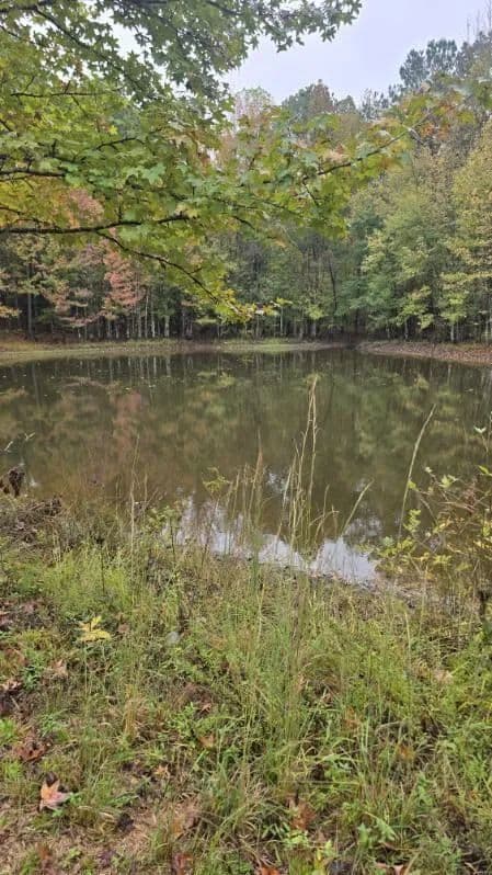 13 Acres of Land for Sale in Walnut, Mississippi - Walnut, Mississippi, 38683