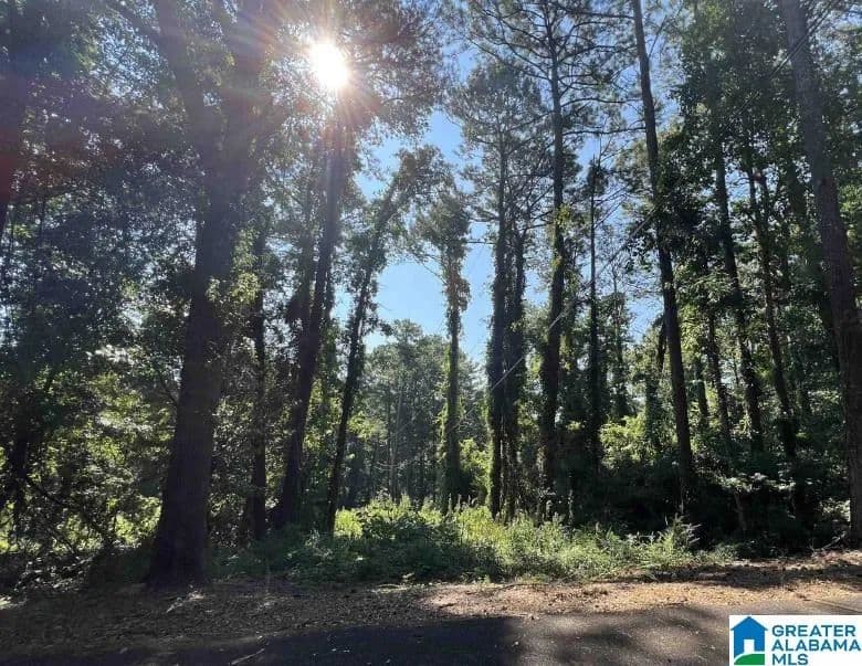 0.11 Acres of Land for Sale in Irondale, Alabama - Irondale, Alabama, 35210
