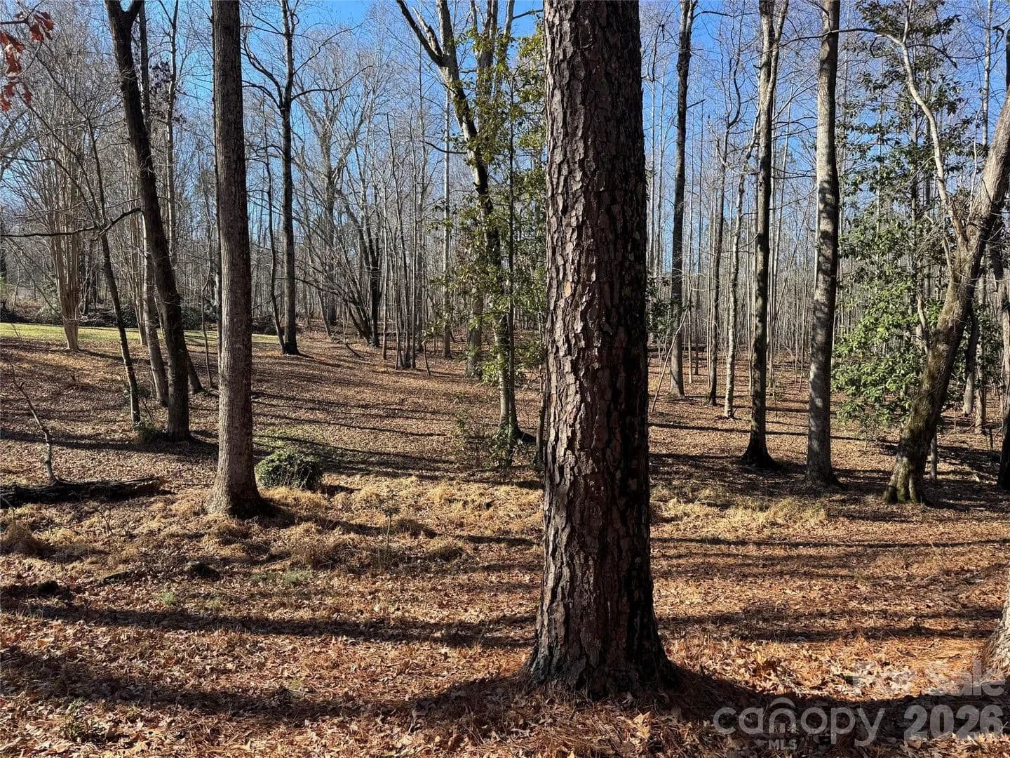 Property from 0 BISCOE Road - KW - Troy, North Carolina, 27371
