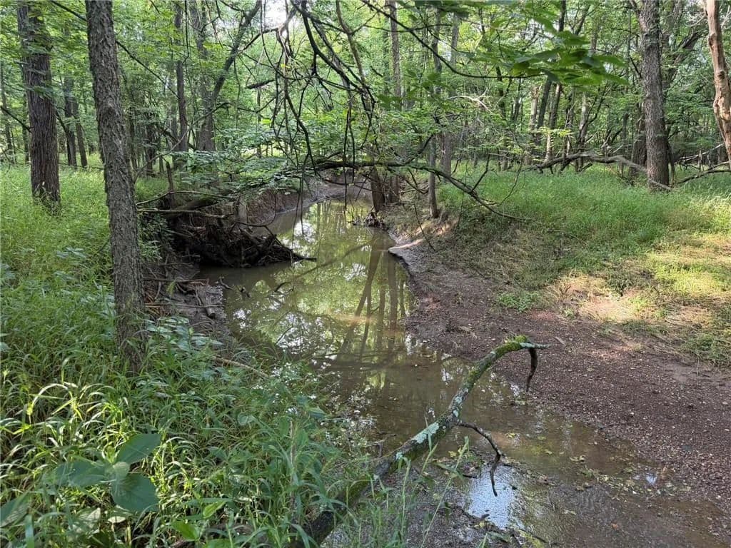78.1 Acres of Land for Sale in Montrose, MO - Montrose, Missouri, 64770