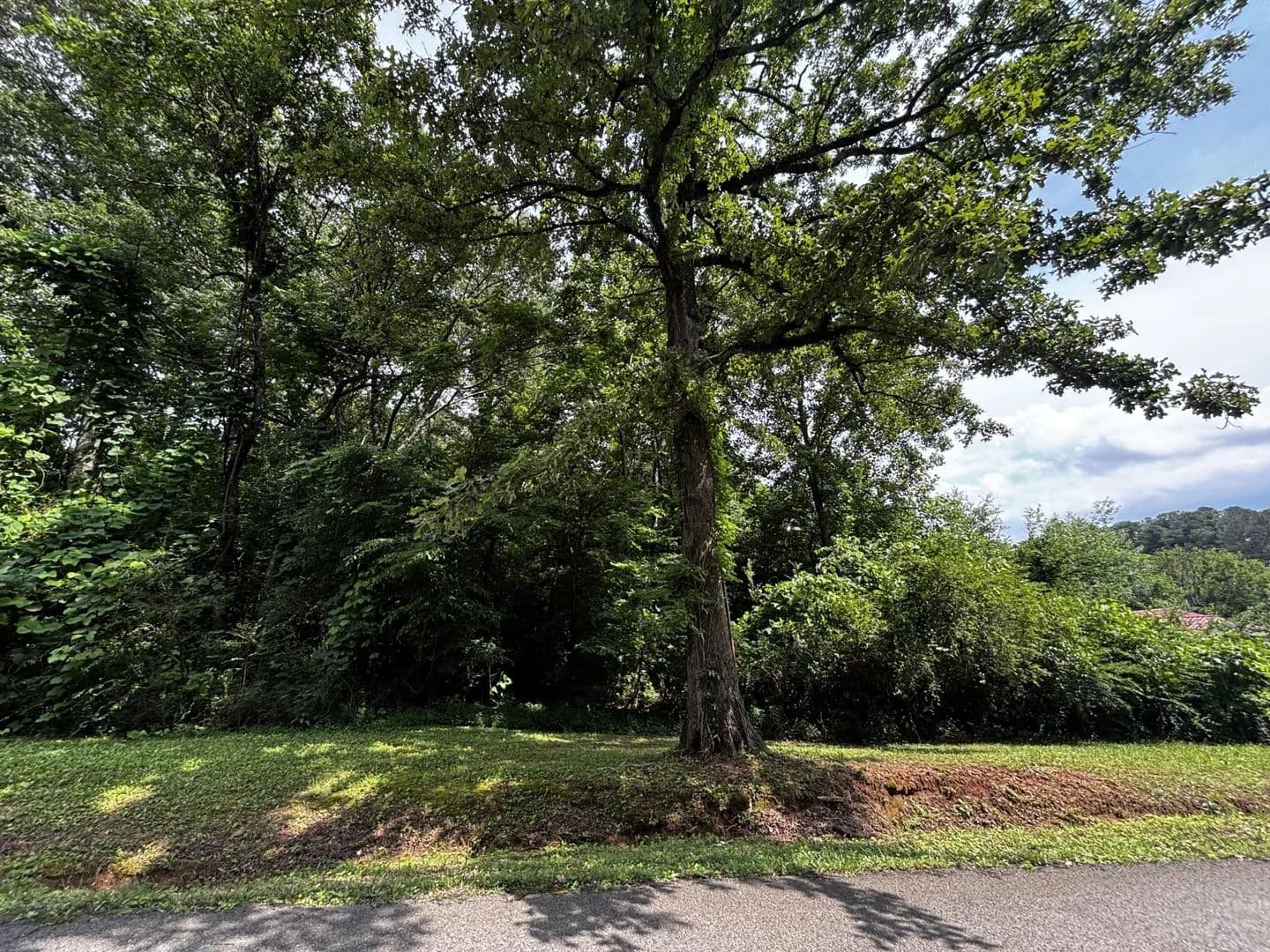 Property from 0 Kendall Avenue - KW - Bridgeport, Alabama, 35740