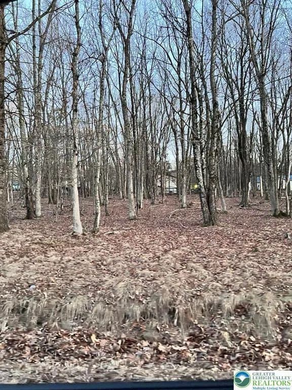 0.41 Acres of Land for Sale in Monroe County, Pennsylvania - Pennsylvania, 18210