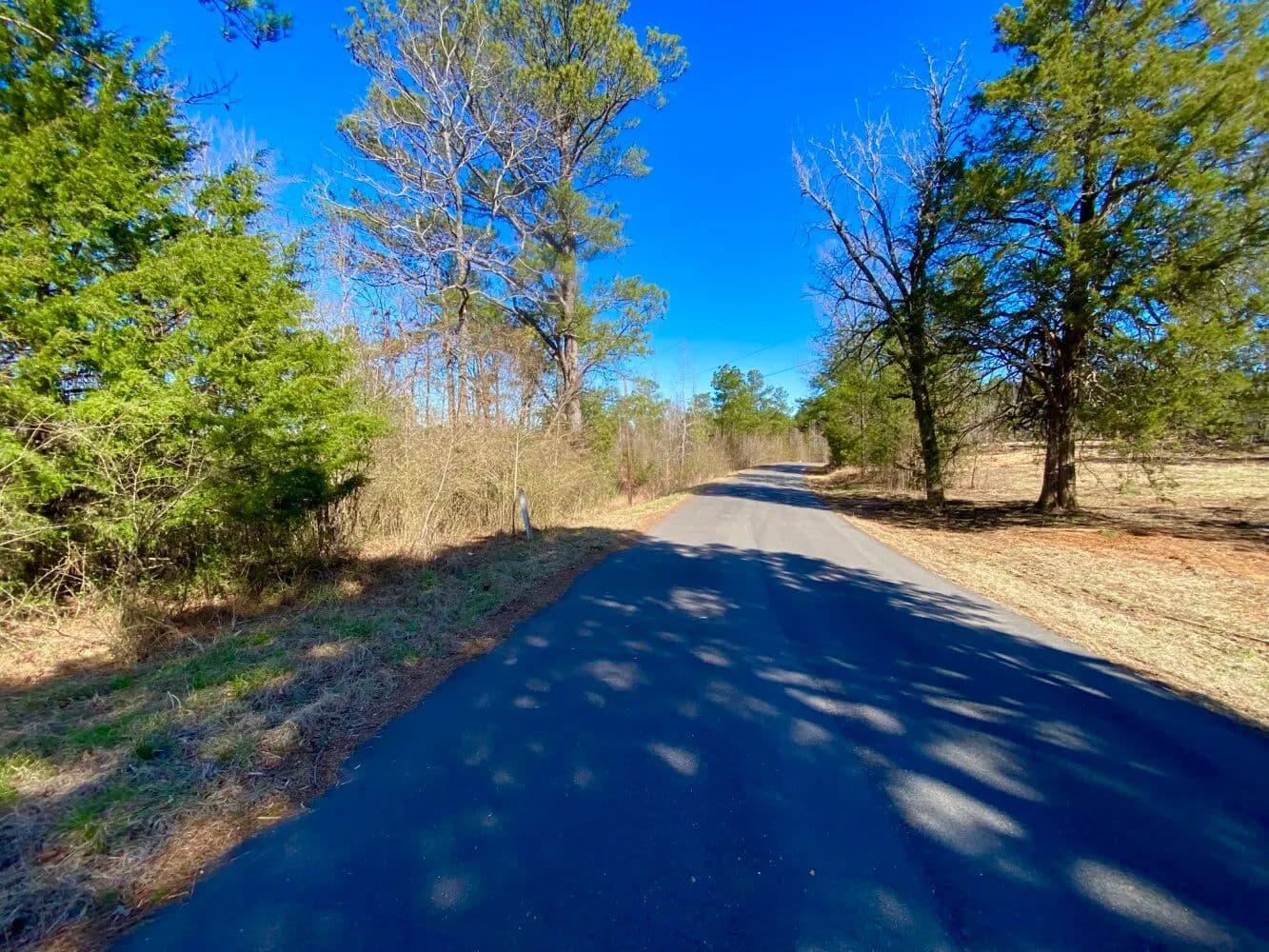 Adams Road - Estate Homesite and Hunting Property - Bankston, Alabama, 35542