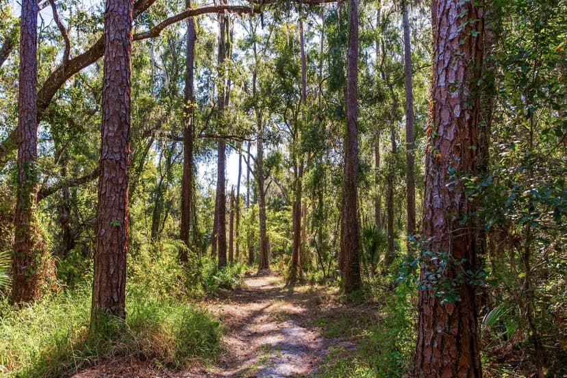 Drawdy Road Recreational