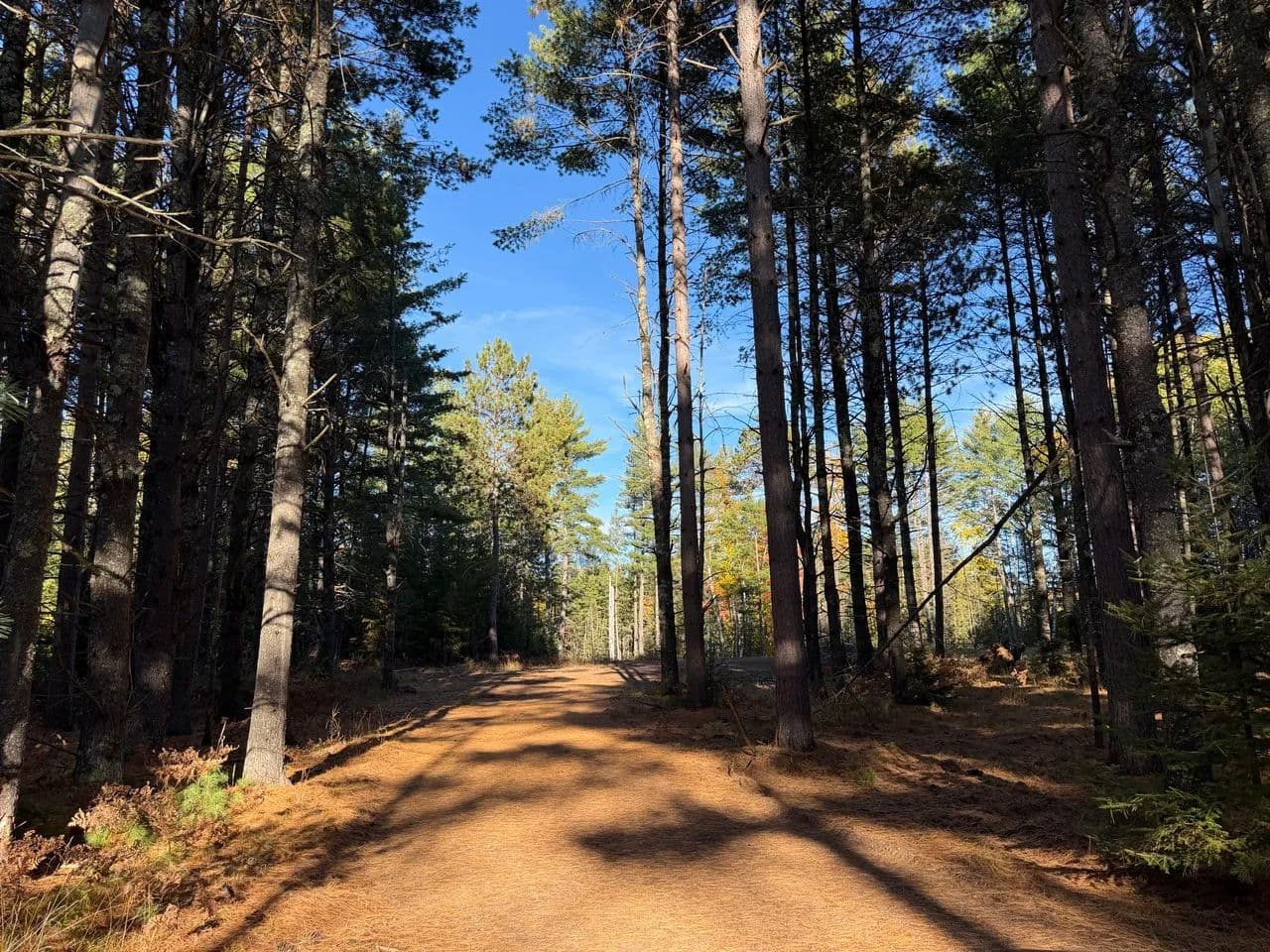 Land -Single Family Acreage in Mercer - Mercer, Wisconsin, 54547