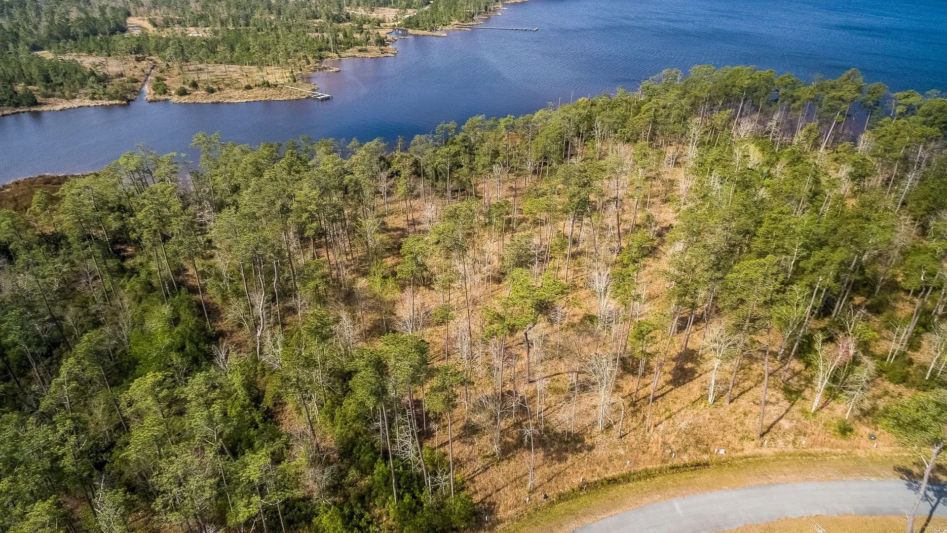Vacant Land in Merritt - Merritt, North Carolina, 28556