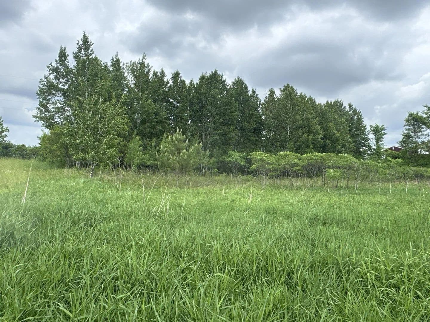 1.27 Acres of Land for Sale in Clayton, Wisconsin - Clayton, Wisconsin, 54004