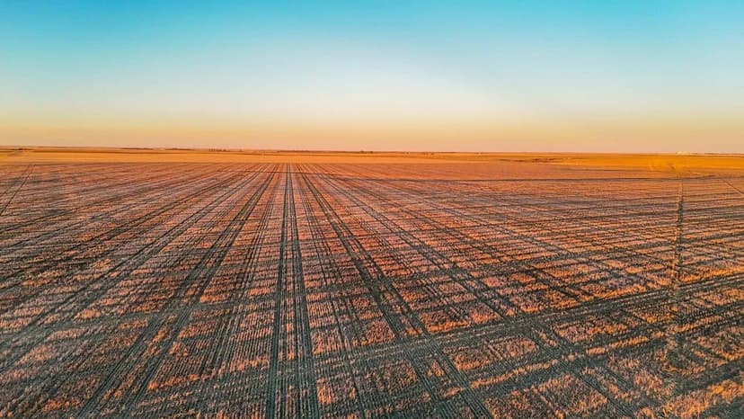 David & Julie Dirks Retirement Land Auction Parcel #3