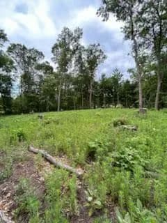 Property from 4188 161st Lane NE - KW - Ham Lake, Minnesota, 55304