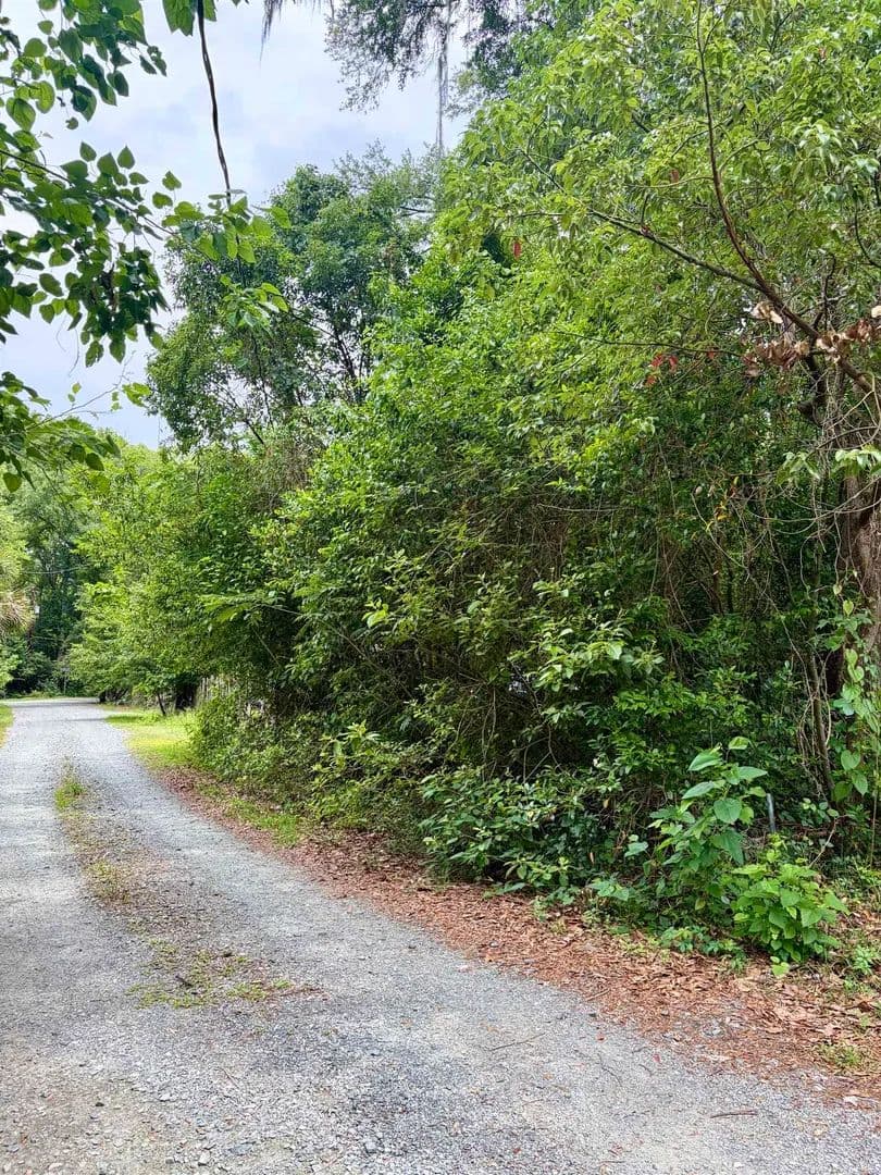 0.11 Acres of Land for Sale in Tallahassee, Florida - Tallahassee, Florida, 32301