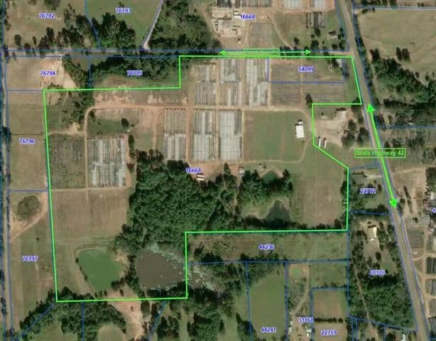 Vacant Land (10+ Acres) in Henderson - Henderson, Texas, 75654