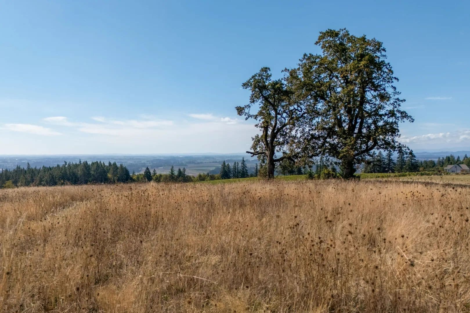 Willamette Valley View Acreage - land for sale