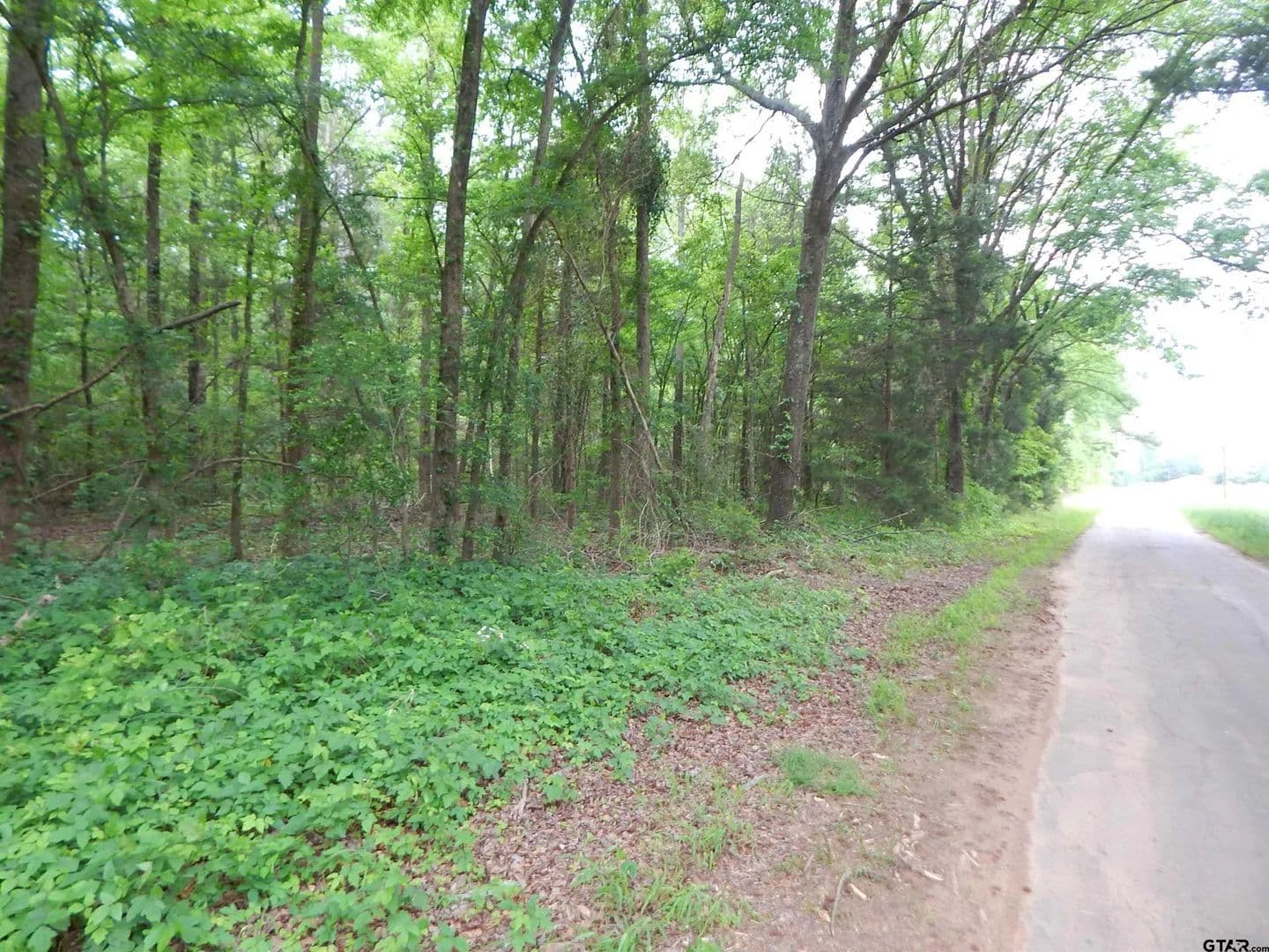 Vacant Land in Pittsburg - Pittsburg, Texas, 75686
