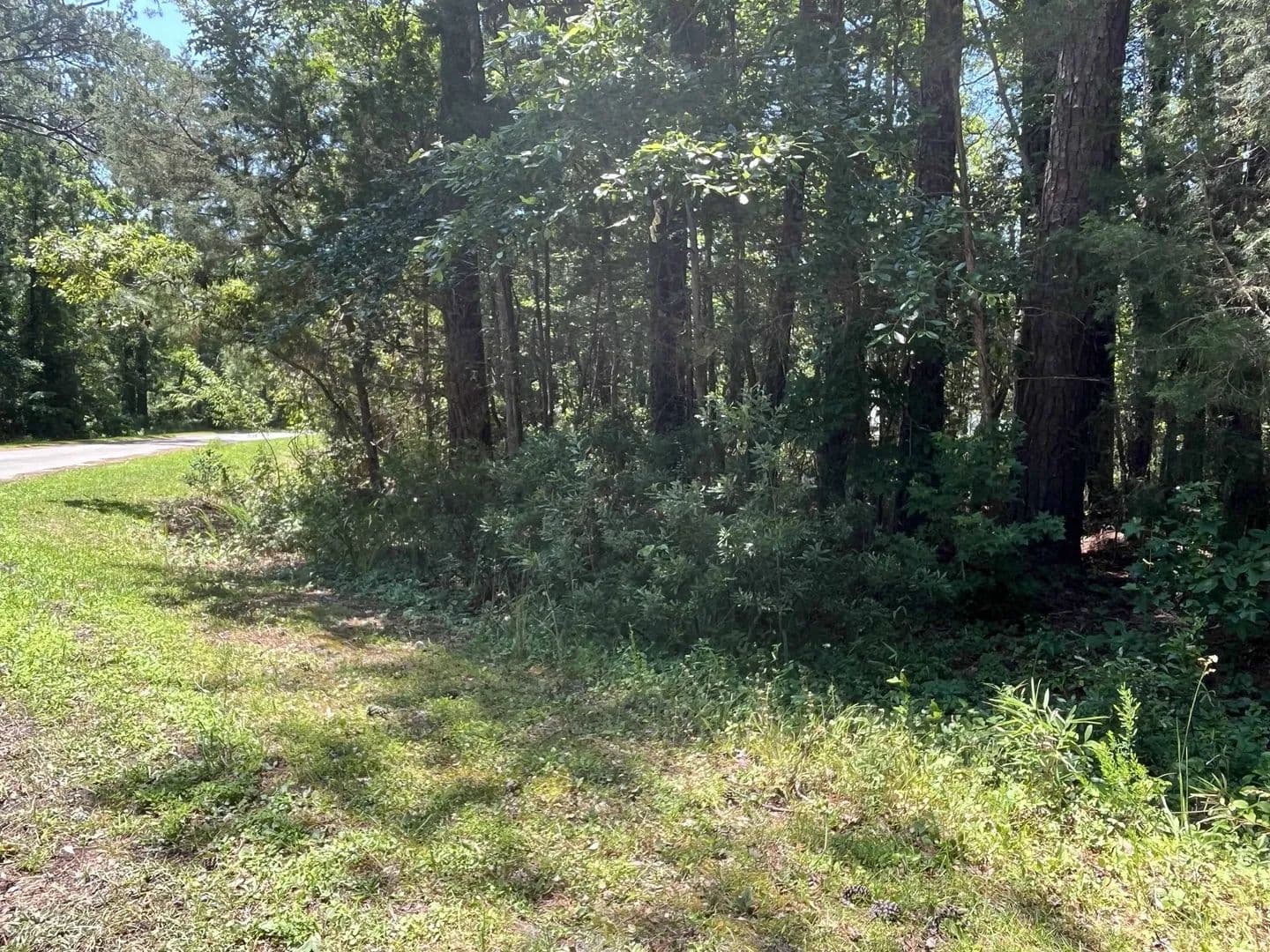 Vacant Land in Oriental - Oriental, North Carolina, 28571