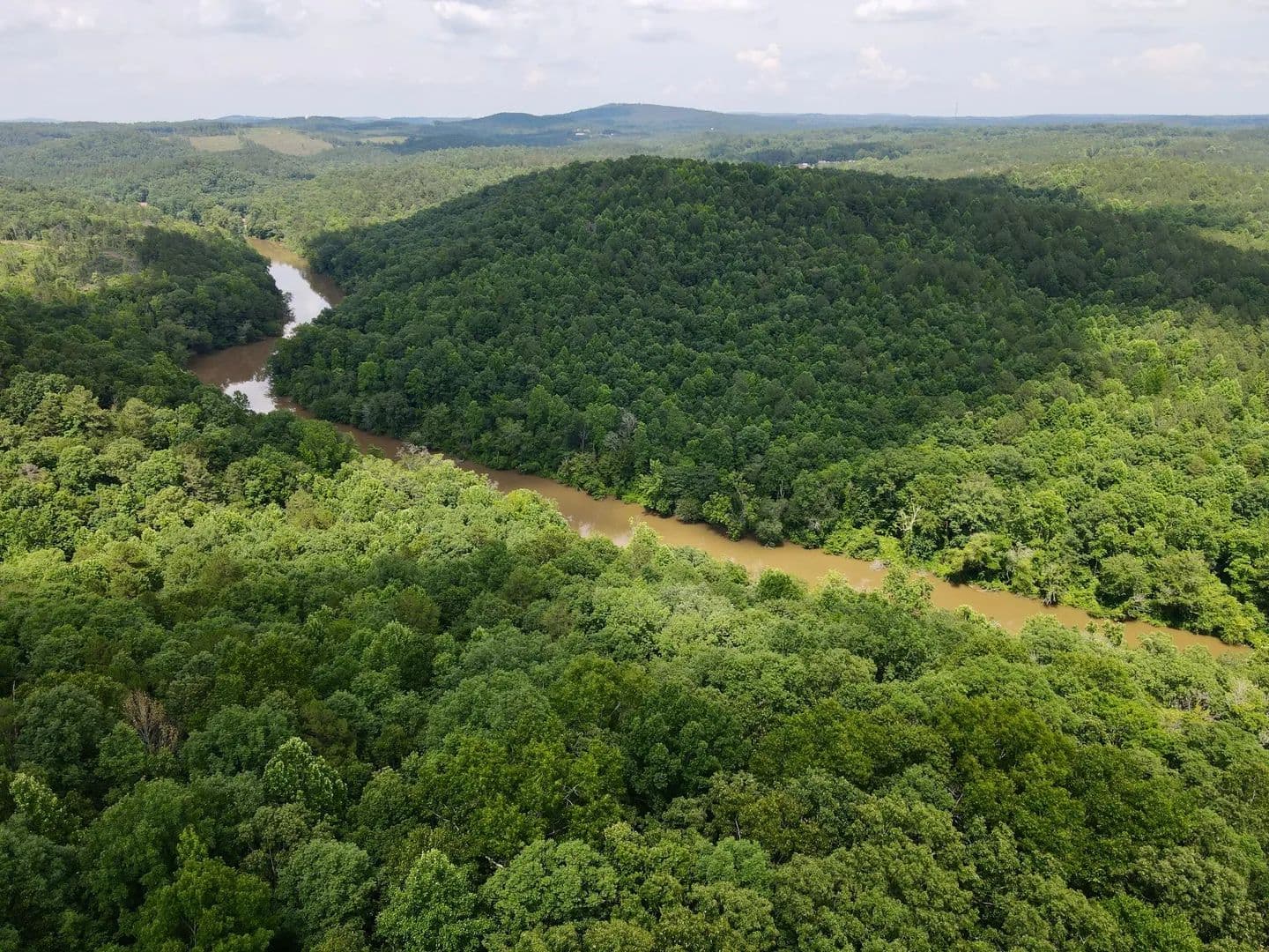 Tallapoosa River 40 - Delta, Alabama, 36258