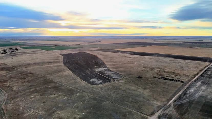 Cropland/Pasture Combination Quarter with Recreational Opportunities