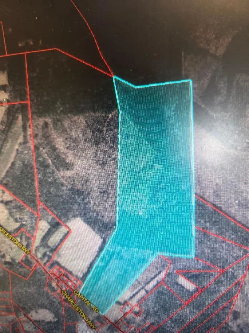 160 Acres of Land for Sale in Jacksonboro, South Carolina - Jacksonboro, South Carolina, 29452