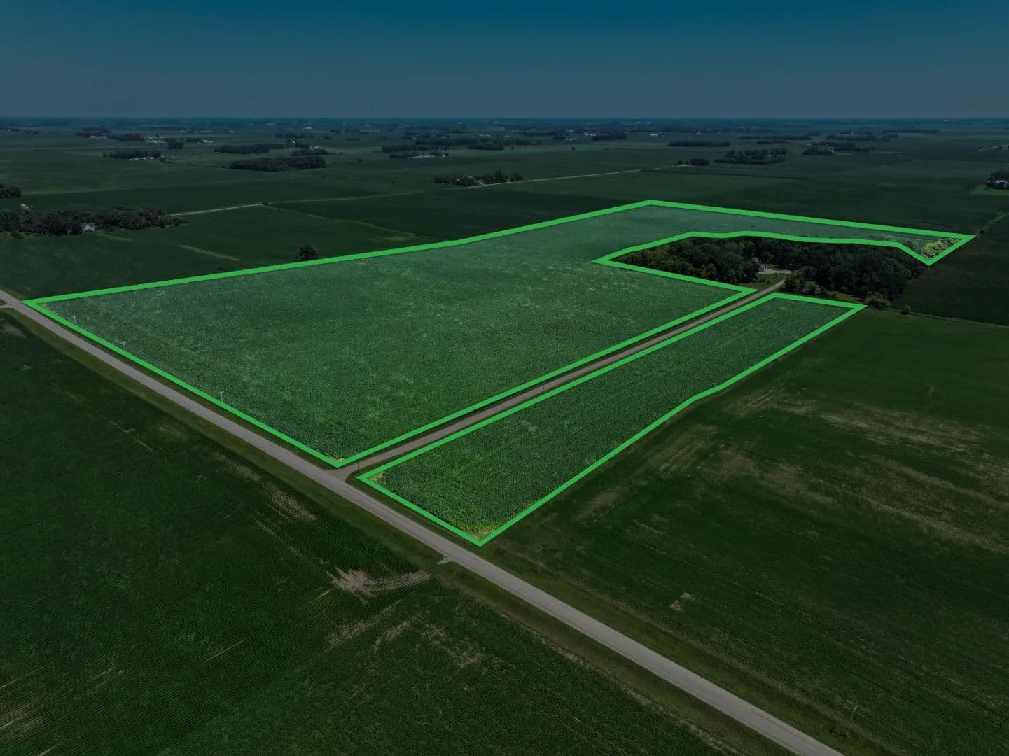 73.05± Acre Farm Sale Freeborn County - land for sale