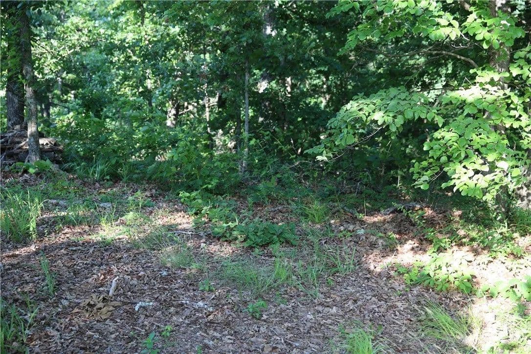 Lots & Land-Other in Bella Vista - Bella Vista, Arkansas, 72715