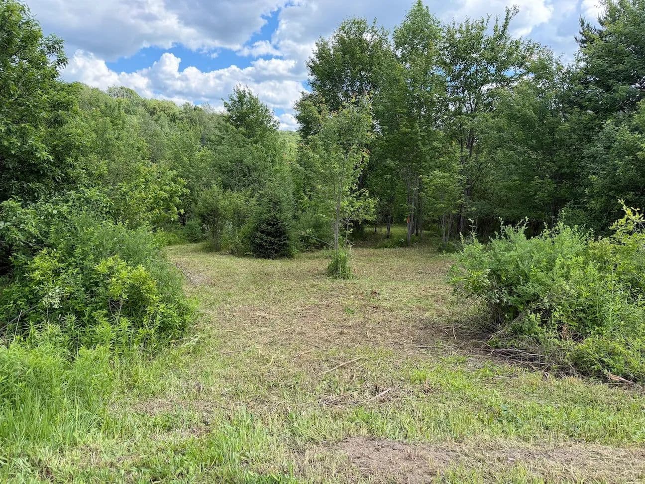 11 acres Hunting Land and Recreational Land with Creek in Franklinville NY Reynolds Road - Franklinville, New York, 14737