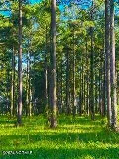 Property from 213 Cassie May Boulevard - KW - Oriental, North Carolina, 28571