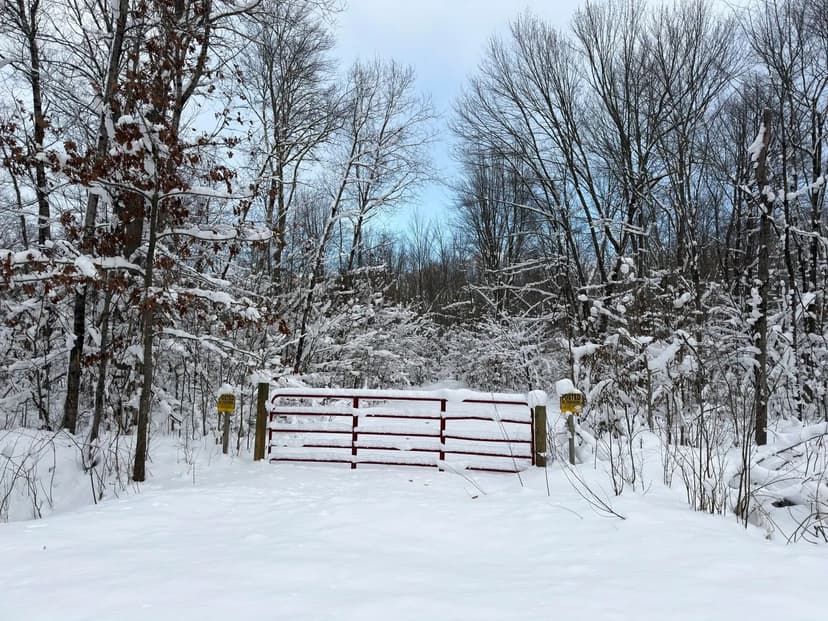 Property from 10830 W 3 Mile Road - KW