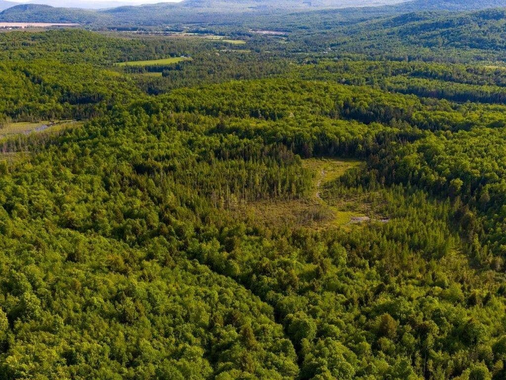 Property from 3180 Bear Hill Road - KW - Maidstone, Vermont, 5905