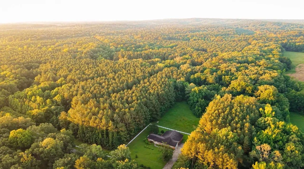 Jones Creek 110 Acres and House - Sturgis, Mississippi, 39759